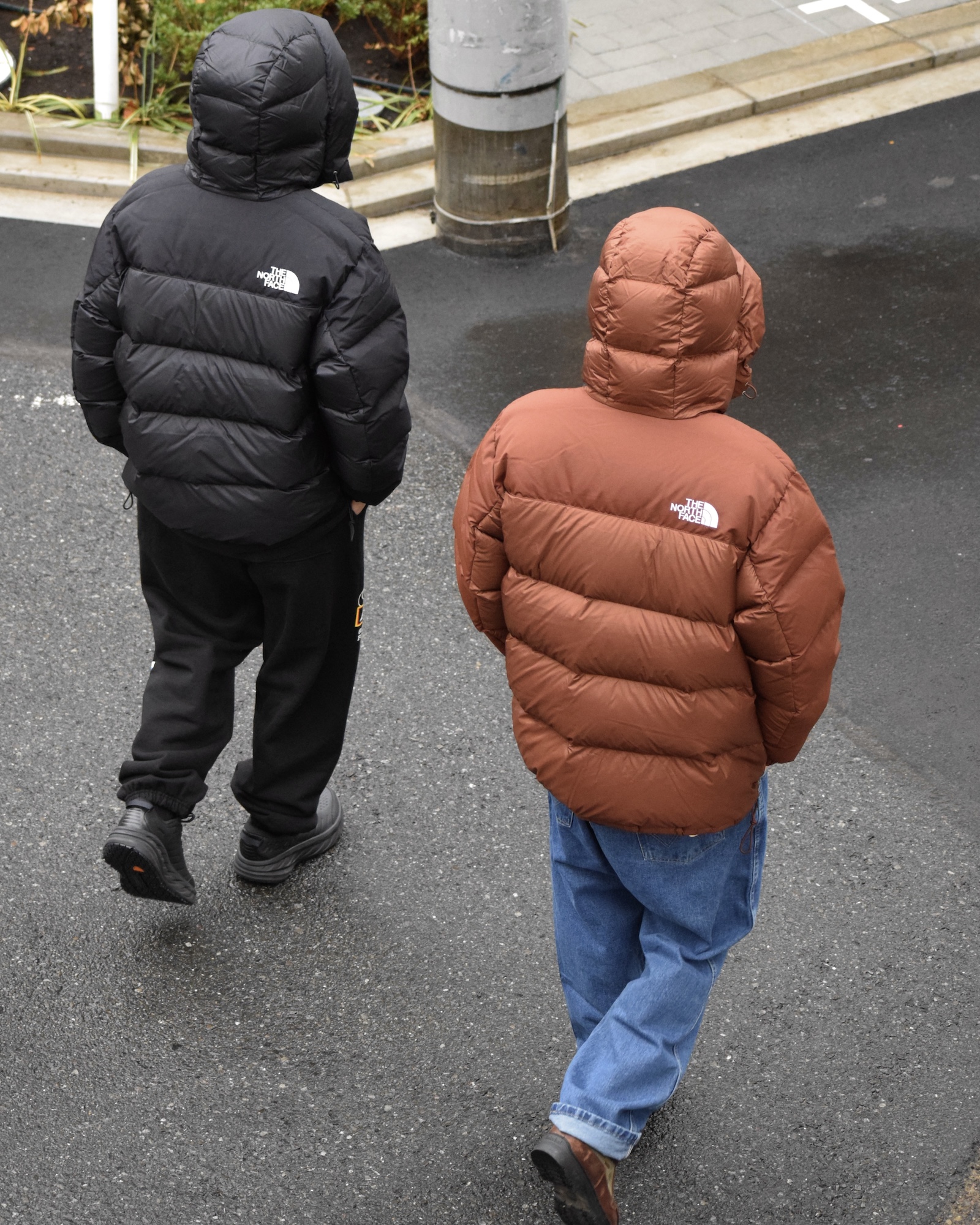 New Arrivals! | the Apartment