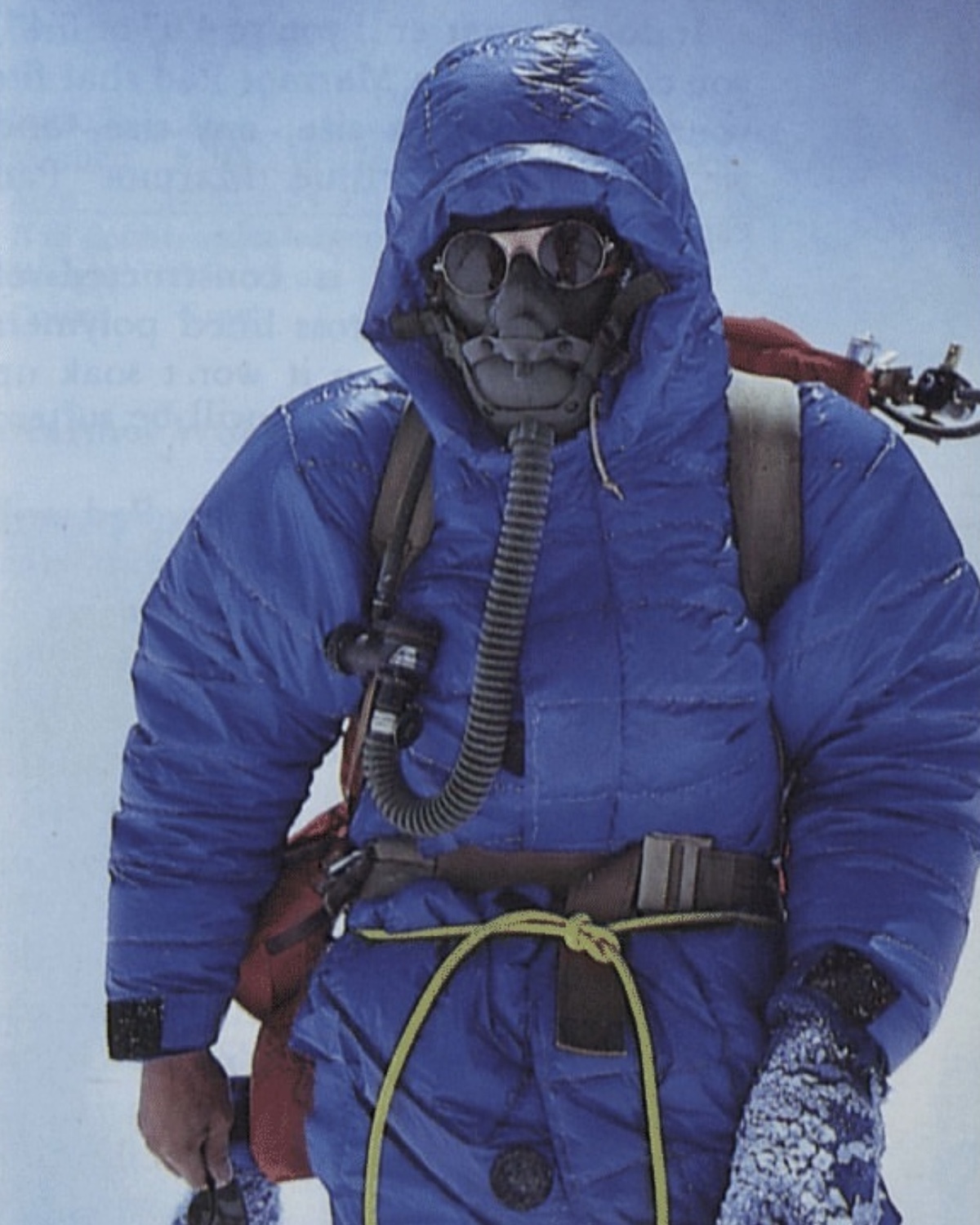 Better Gift Shop × Marmot | the Apartment Better Gift Shop × Marmot | the Apartment