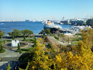 DSC_0816.JPG