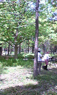 Image426.jpg