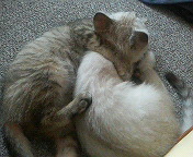 200712011001000.jpg