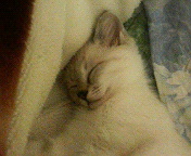 200712031902001.jpg