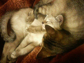 200712111617000.jpg