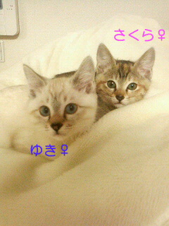 200712141951000.jpg