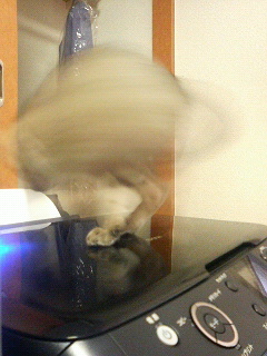 200712180939000.jpg