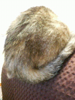200712180954000.jpg