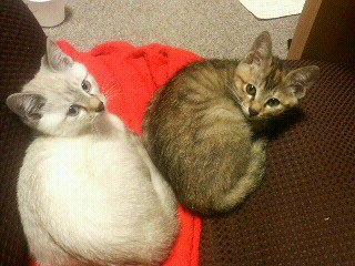 200712191957000.jpg