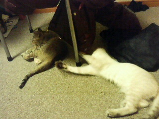 200712240149000.jpg