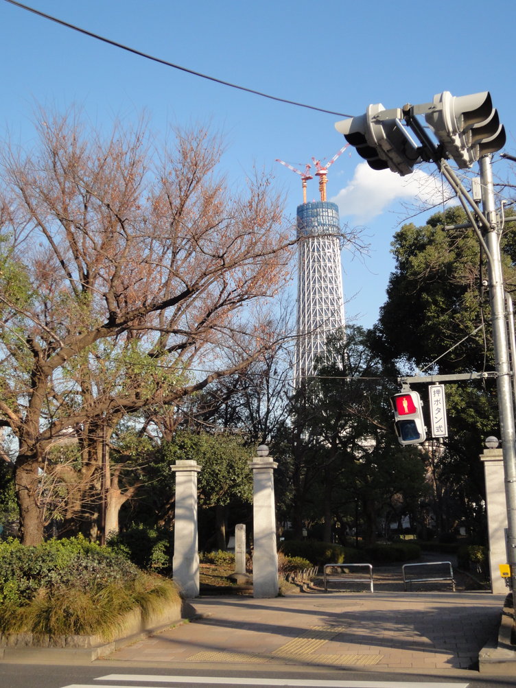 横断歩道とスカイツリー