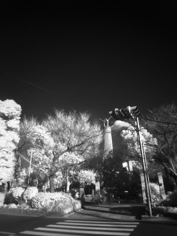 公園赤外