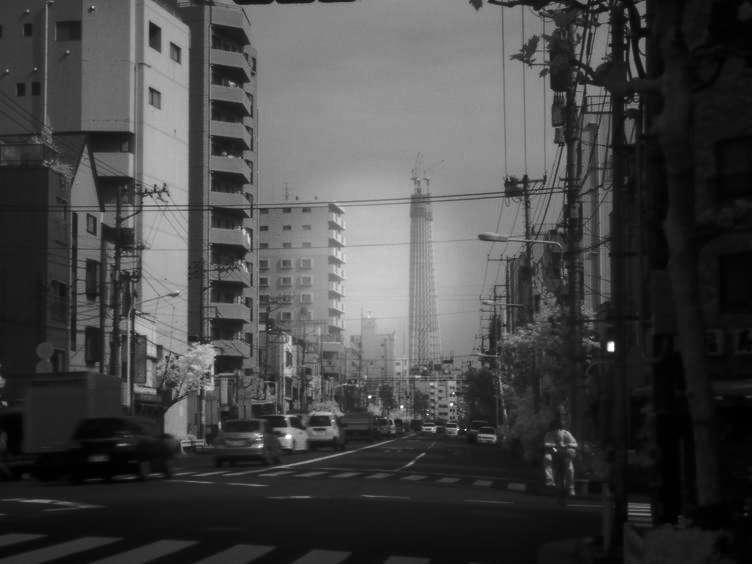 スカイツリー赤外線写真