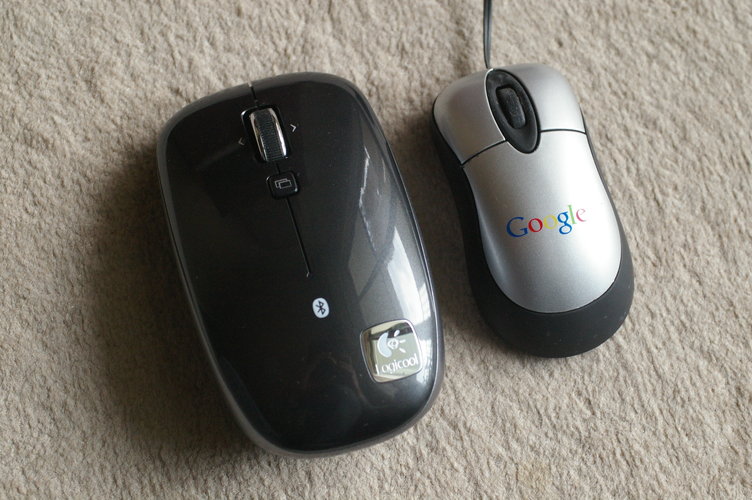 IMGP0340.jpg