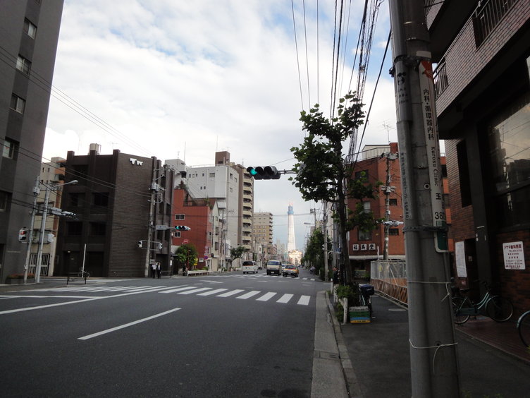 DSC03955.jpg