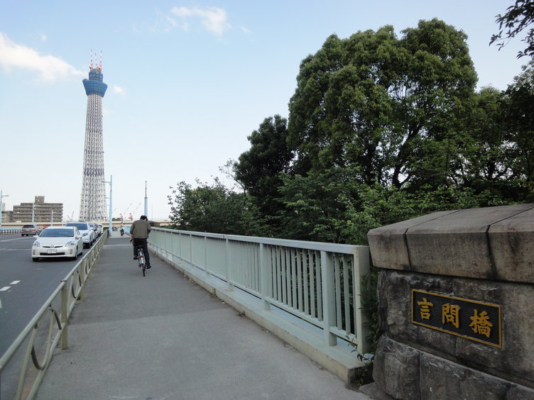 DSC04486.jpg