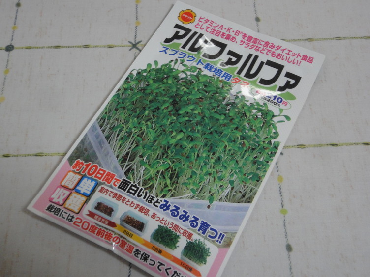 アルファルファ栽培