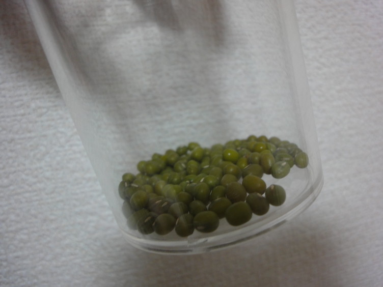 緑豆