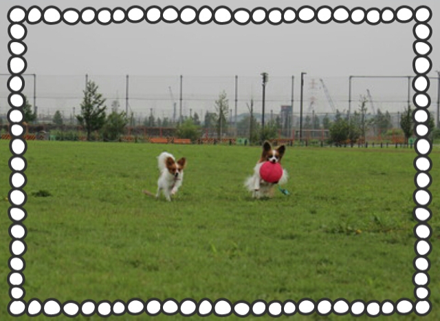 2013-06-28-22-51-38_deco.jpg