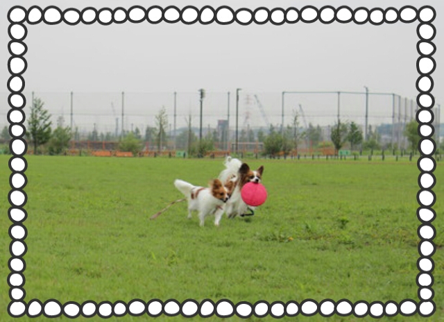 2013-06-28-22-52-45_deco.jpg