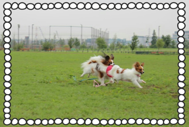 2013-06-28-22-53-19_deco.jpg