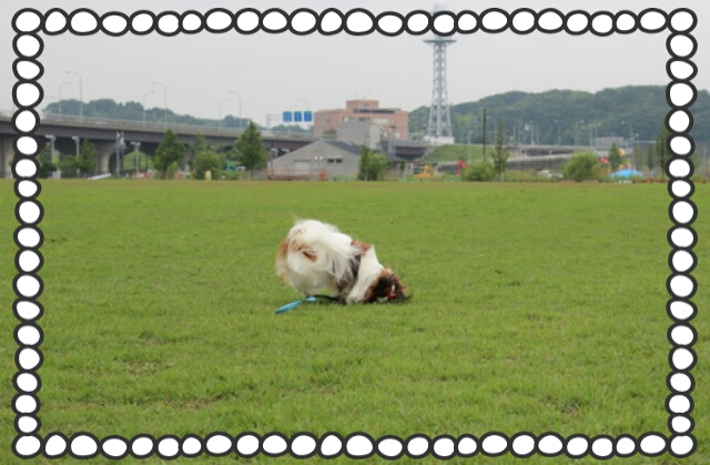 2013-06-28-22-56-20_deco.jpg