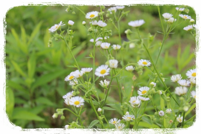 2013-06-28-22-57-41_deco.jpg
