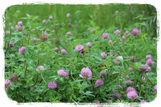 2013-06-28-22-58-03_deco.jpg