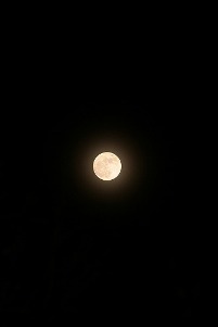 full moon