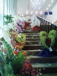 20080818155340.jpg