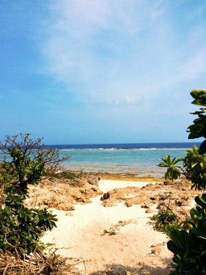 沖縄 久高島 口コミ
