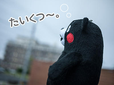 くまモン ぬいぐるみ 通販 店舗
