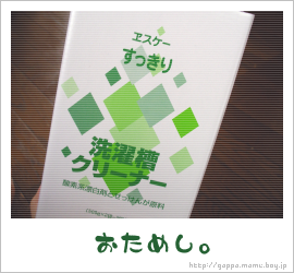 エスケー すっきり 洗濯槽クリーナー