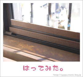 見た目がビミョウ…。