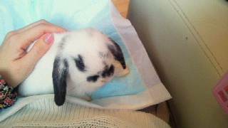 2011102400470000.jpg