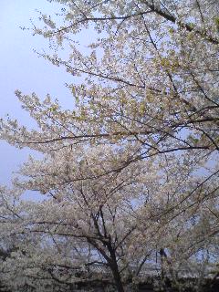 20070408_325647.jpg