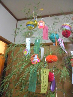 070707_2203~01.jpg