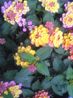 080605_0935~01.jpg