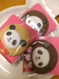 panda0001.jpg