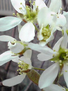 Image2031.jpg