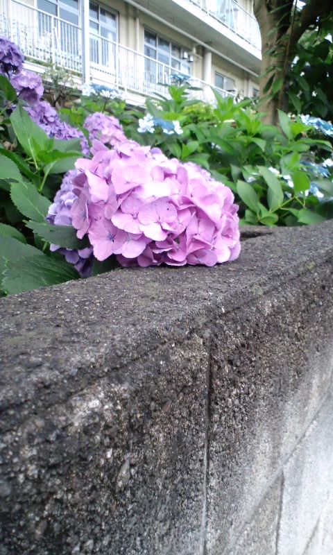 100623_1846~01.jpg