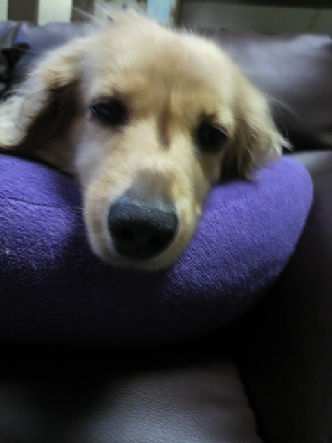 2011071111350001.jpg