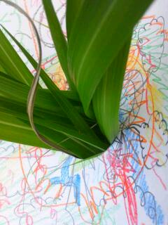 20110530_150829.jpg