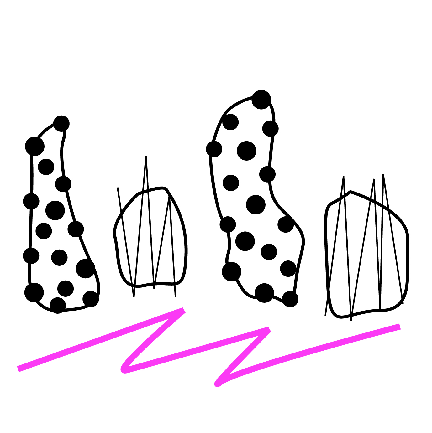 lolo logo.jpg