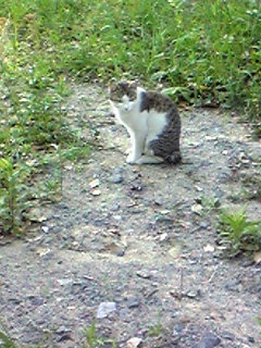 Image002~07.jpg