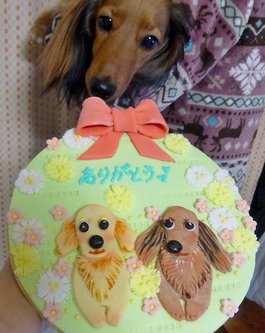 犬と