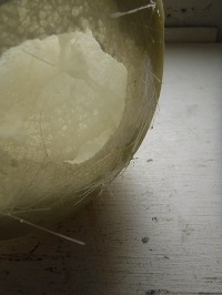DSCF8389.JPG