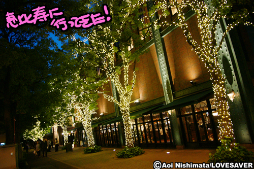 DSC01842.jpg