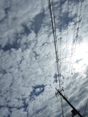 DSCF2846.JPG