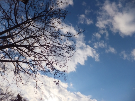 DSCF4706.JPG