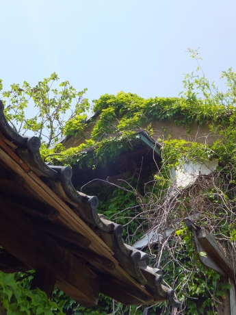DSCF5910.JPG
