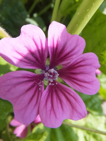 DSCF5904.JPG